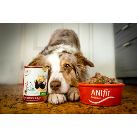 Hund Hundefutter Nassfutter Zum Goldenen Ochsen 810g 6 Stück -5- Anifit